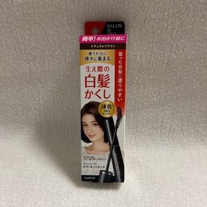 Salon De Pro Color On Retouch Gray Hair Comb 4BB